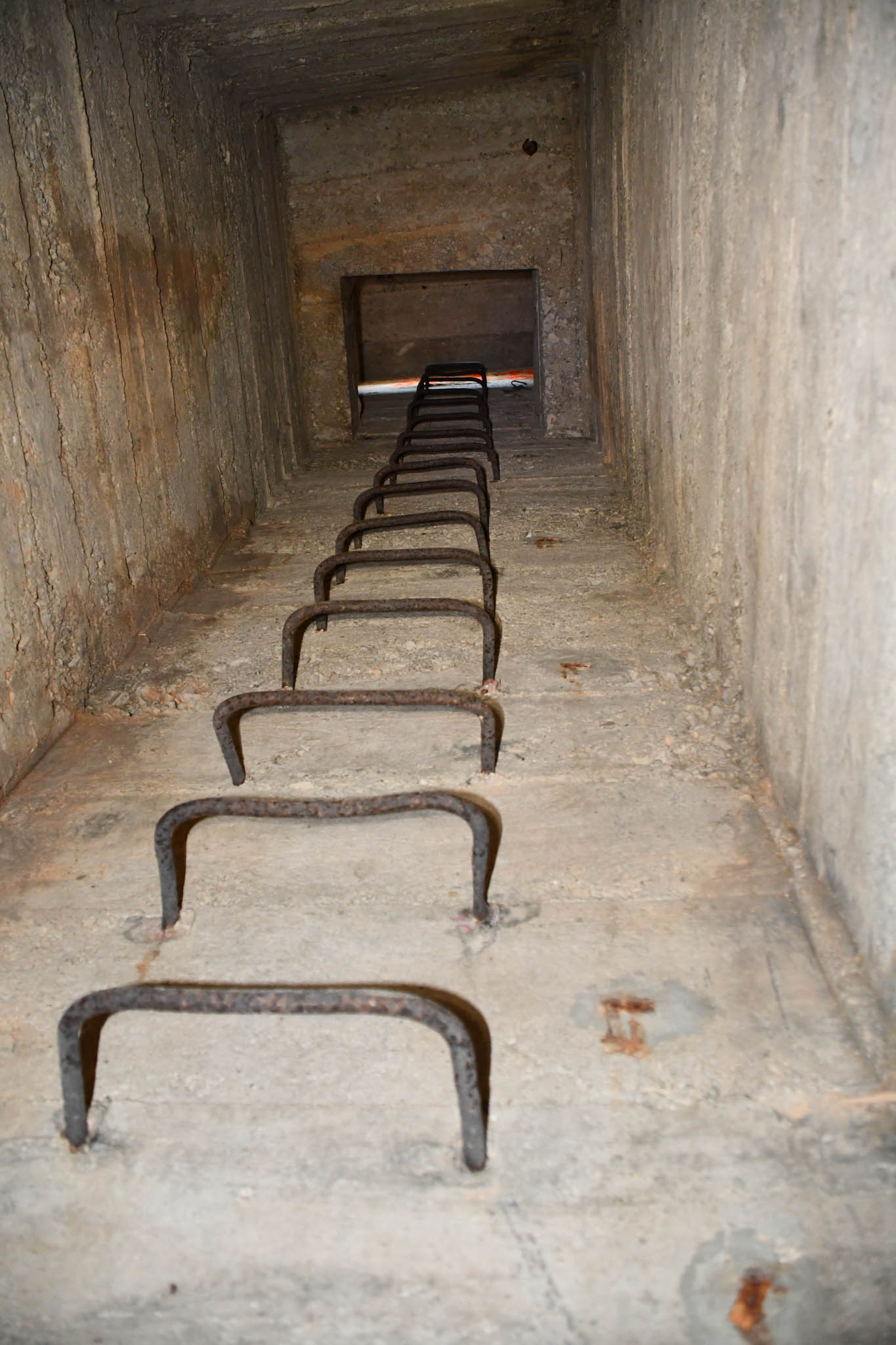 Iron staple ladder leading to observation post
